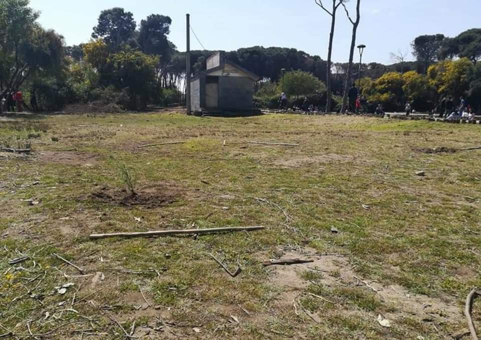 Catania, boschetto Plaia rinato e già vandalizzato, chi ha visto parli Catania, boschetto Plaia rinato e già vandalizzato, chi ha visto parli