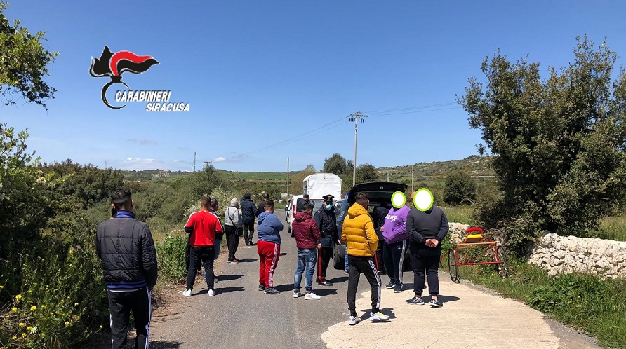 Corsa clandestina di cavalli nel Siracusano, 16 denunciati