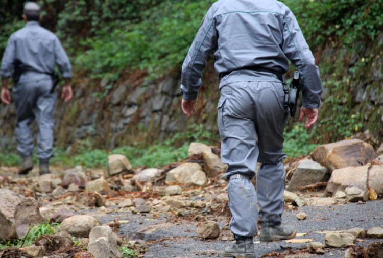 Forestali, i sindacati: “Mensilità arretrate per 1.500 lavoratori”