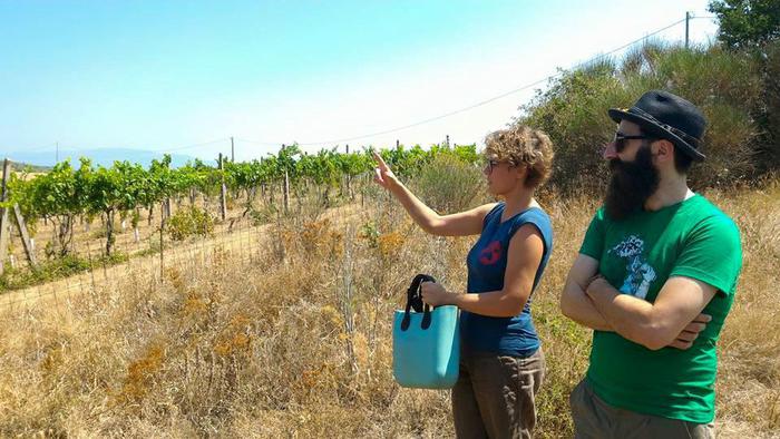 Coldiretti, al via l’Oscar green per le imprese sostenibili Coldiretti, al via l’Oscar green per le imprese sostenibili