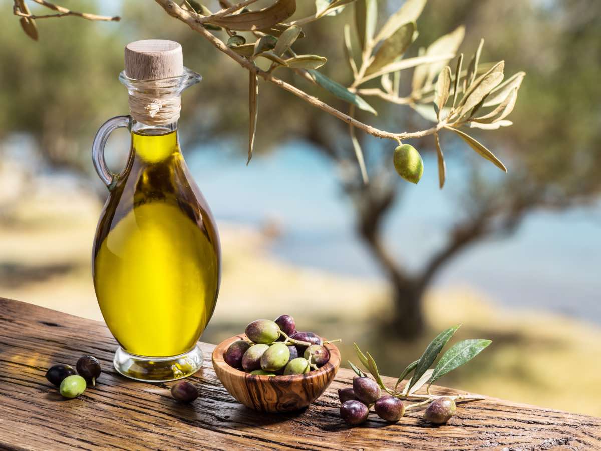 L’olio del Giardino botanico di Agrigento alla Mensa della solidarietà
