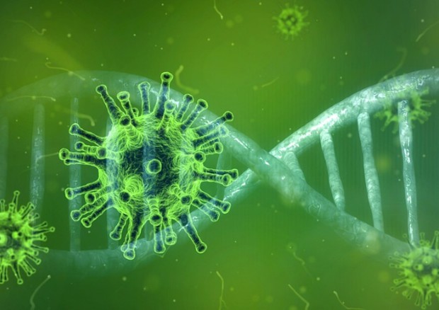 Covid, origine naturale o fuga da laboratorio? Tutti gli indizi nel suo genoma