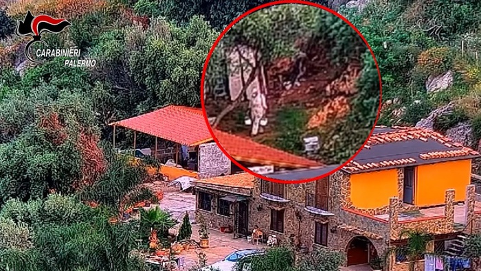 Armi e droga, blitz dei Carabinieri a Palermo, sette arresti