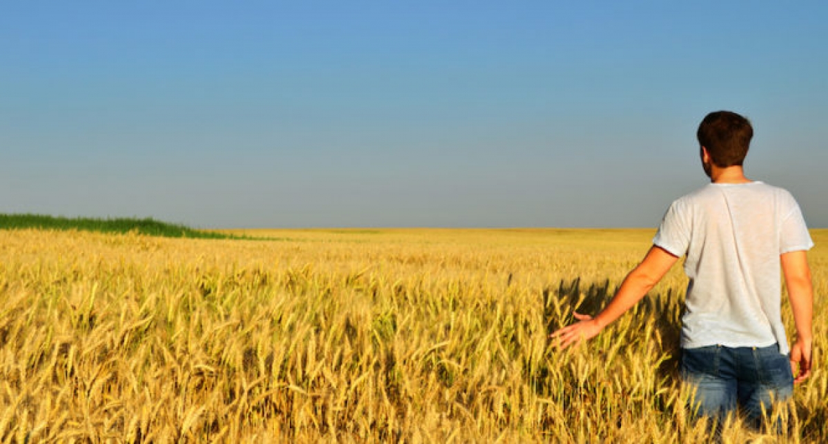 Agricoltura, mutui a tasso zero e contributi a fondo perduto