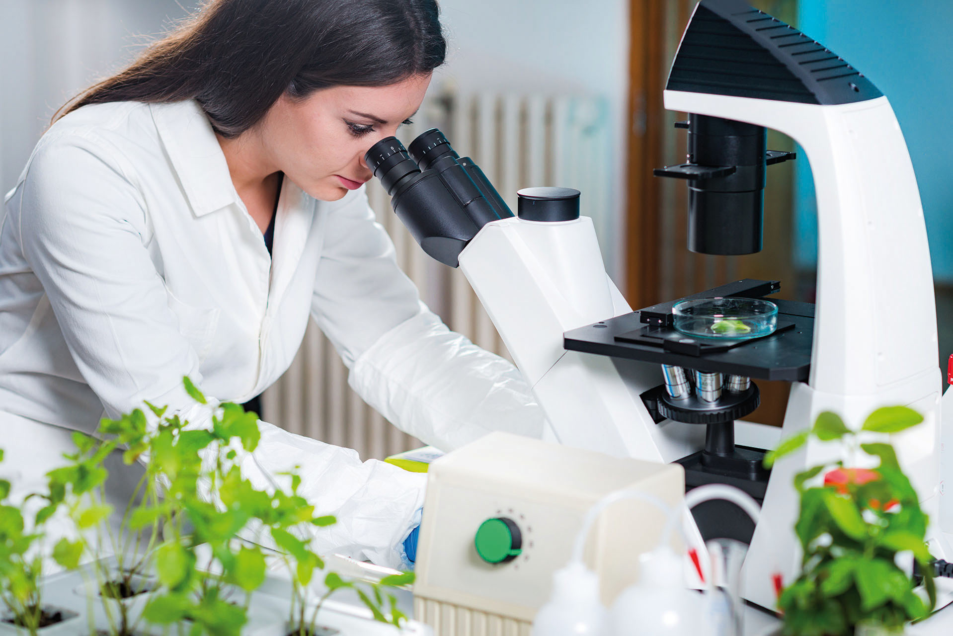 Innovazione, l’agricoltura contro virus e cambiamenti climatici