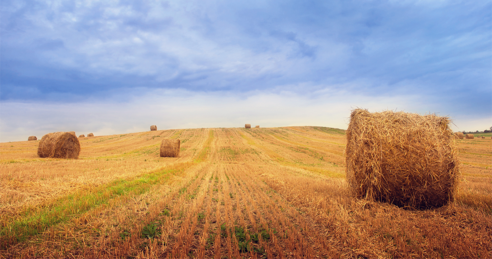 Pietraperzia, sviluppo agricolo e rilancio di tutto il comparto
