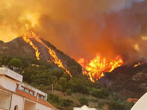 Incendi, si teme un’altra estate infernale