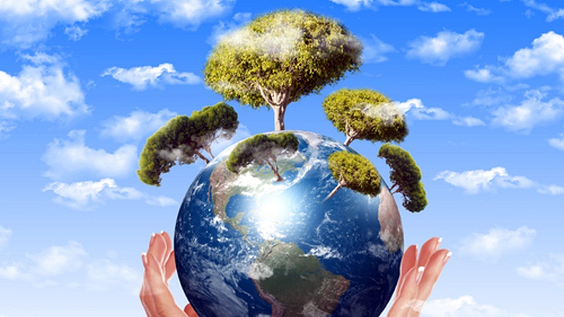 Accordo Enel Green Power ed Enea per impianto-pilota agrivoltaico