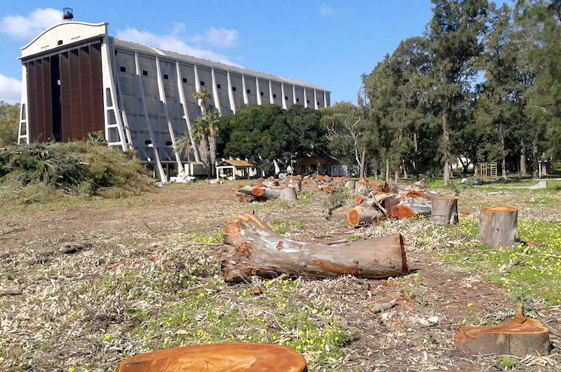 Augusta, al Parco dell’Hangar “danni gravi e permanenti”