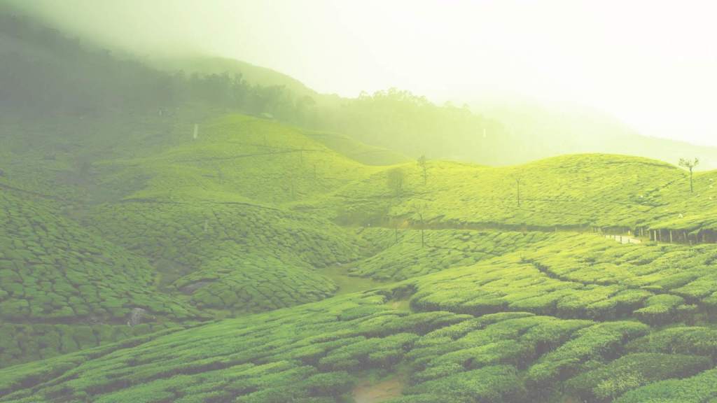 Mussomeli è in prima linea per la transizione ecologica