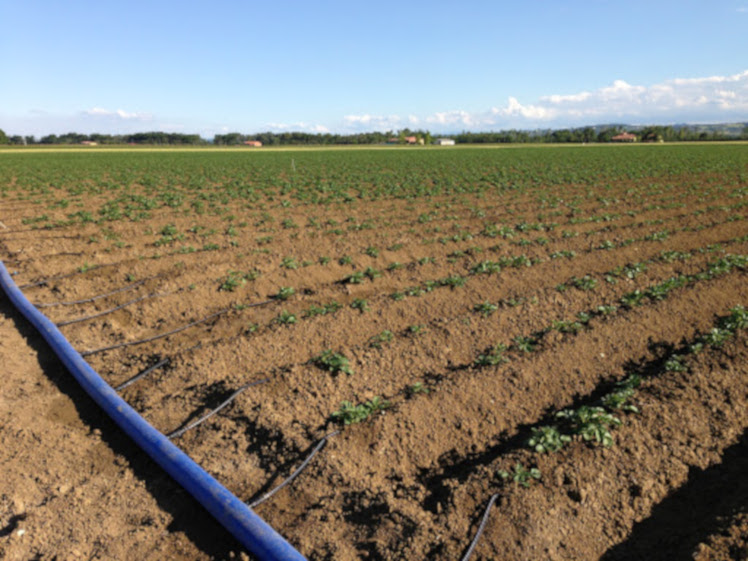 Acqua recuperata per usi  irrigui, il piano del Comune di Alcamo