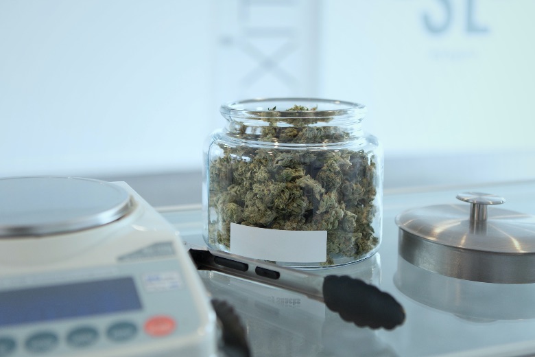 Anche a Catania cannabis terapeutica in farmacia a carico del Ssn
