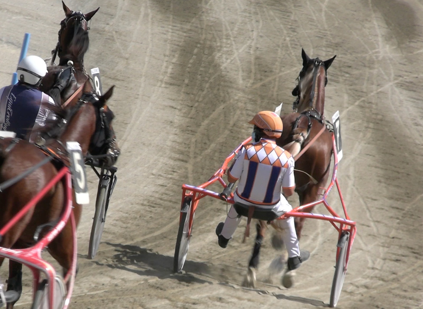 Palermo, stato d’agitazione per i lavoratori dell’ippodromo: calendario corse a rischio