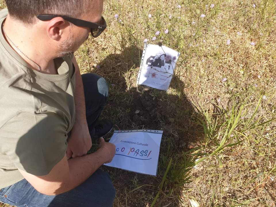 Siracusa, rubato l’albero dedicato a Falcone e Borsellino