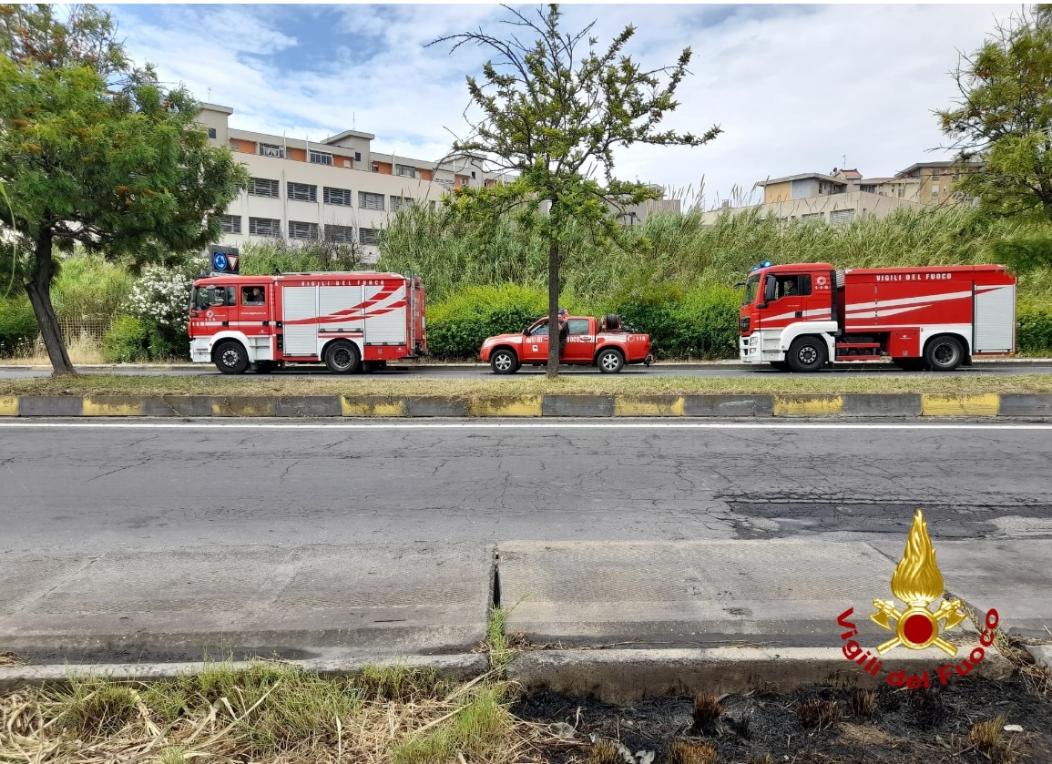 Catania, canneto in fiamme a Librino, Vigili del Fuoco in azione
