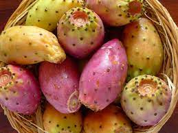 Alimentare, nasce lo yogurt siciliano al fico d’India