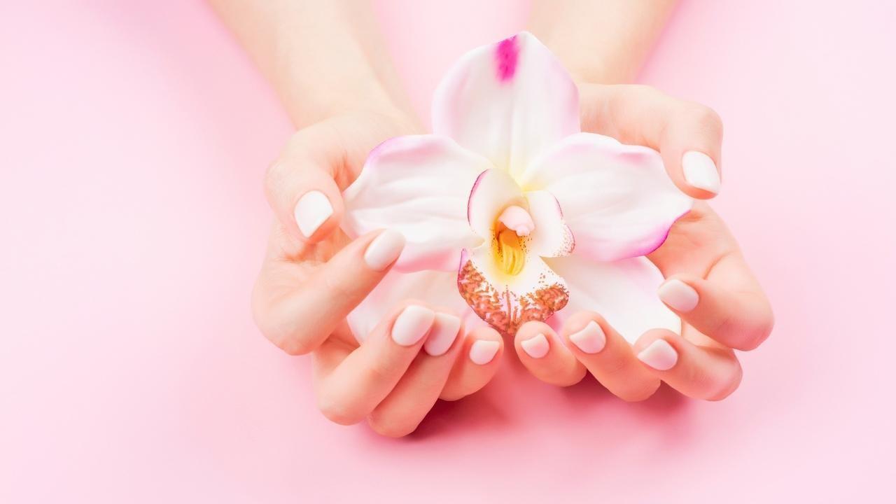 Vagina Academy, scuola senza tabù per educazione intima femminile