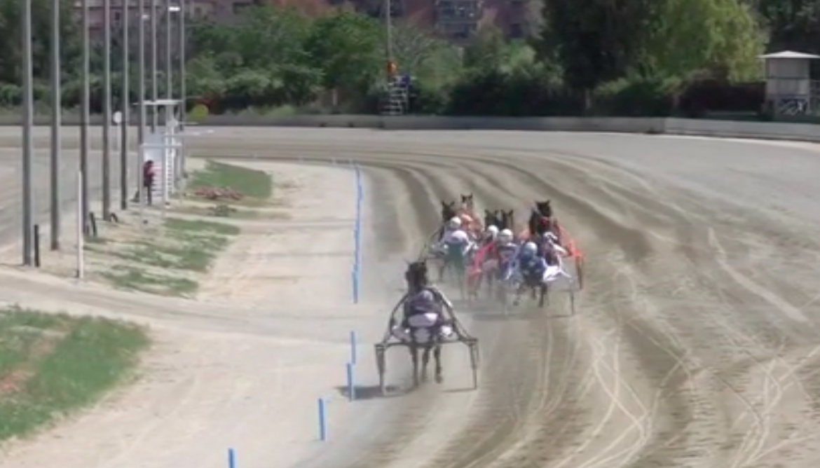 L’ippodromo di Palermo riparte sotto il segno di Falcone