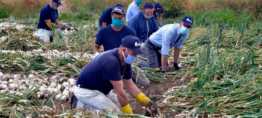Siracusa, braccianti stagionali, firmato protocollo di legalità