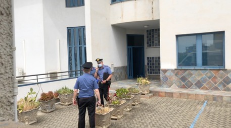 Uccide madre con decine di coltellate a Castrovillari, arrestato