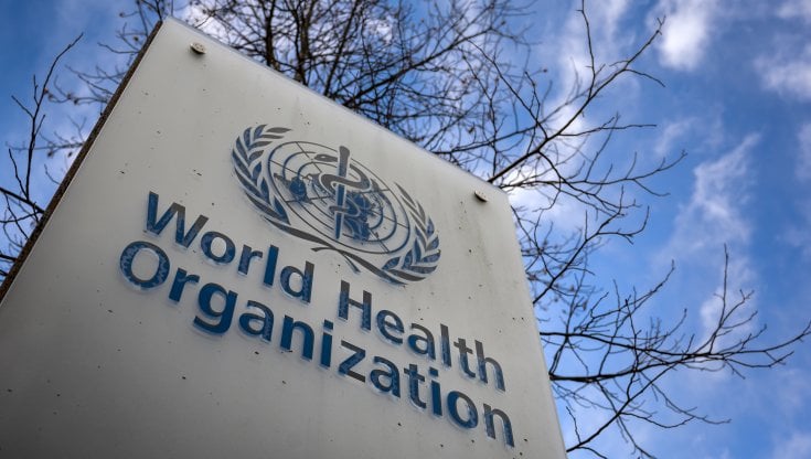 Ufficiale, l’aspartame è “possibile cancerogeno”: ecco quanto se ne può assumere senza rischi