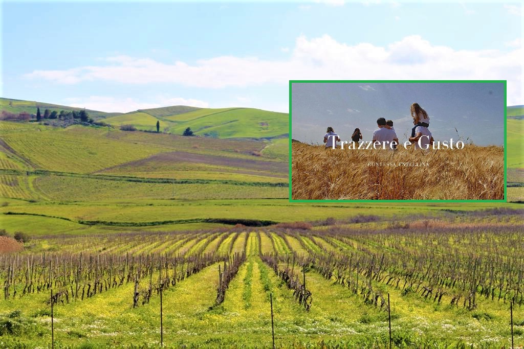 Trazzere e Gusto, da Contessa Entellina un’esperienza unica