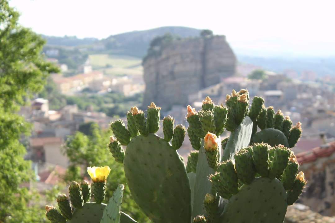 Turismo, alla scoperta dei Cammini Francigeni di Sicilia