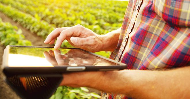 Contributo a fondo perduto per le microimprese