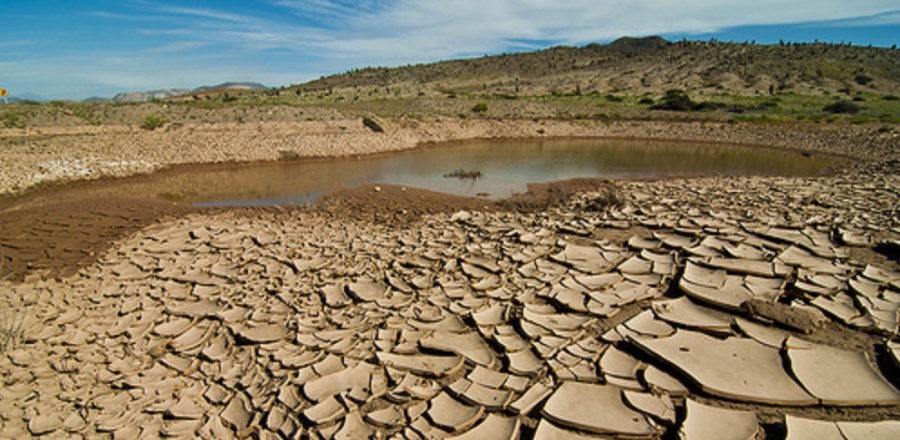 Siccità, in Sicilia desertificazione sempre più vicina