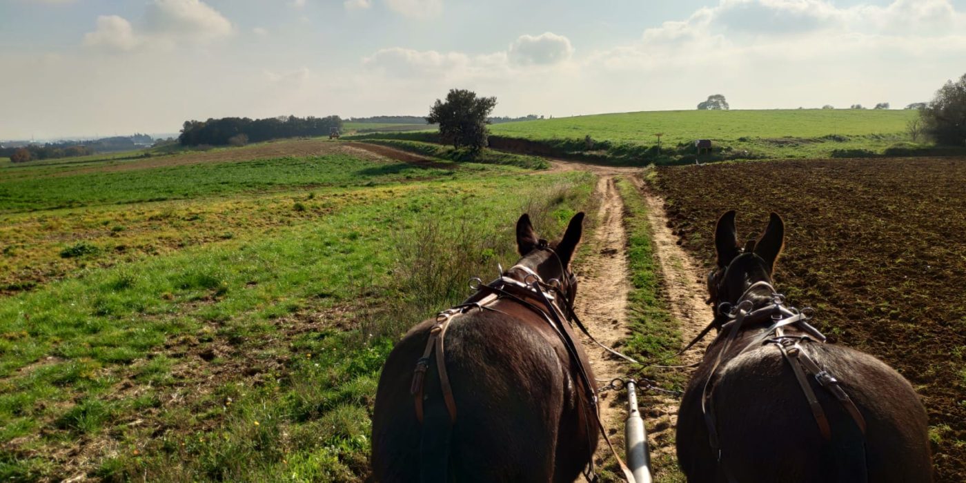 Turismo slow, senza una cabina di regia resta soltanto il nulla