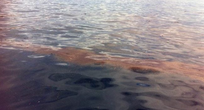 Sversamento idrocarburi al largo della Corsica, scatta piano