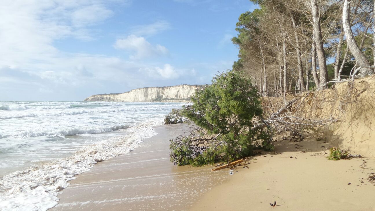 Erosione costiera nell’agrigentino, denuncia eurodeputato Corrao