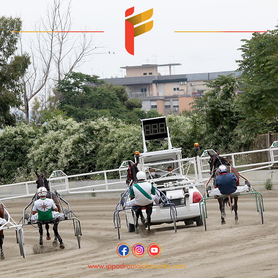 Ippodromo Palermo, ancora Criss Cross e Gaspare Lo Verde sugli scudi