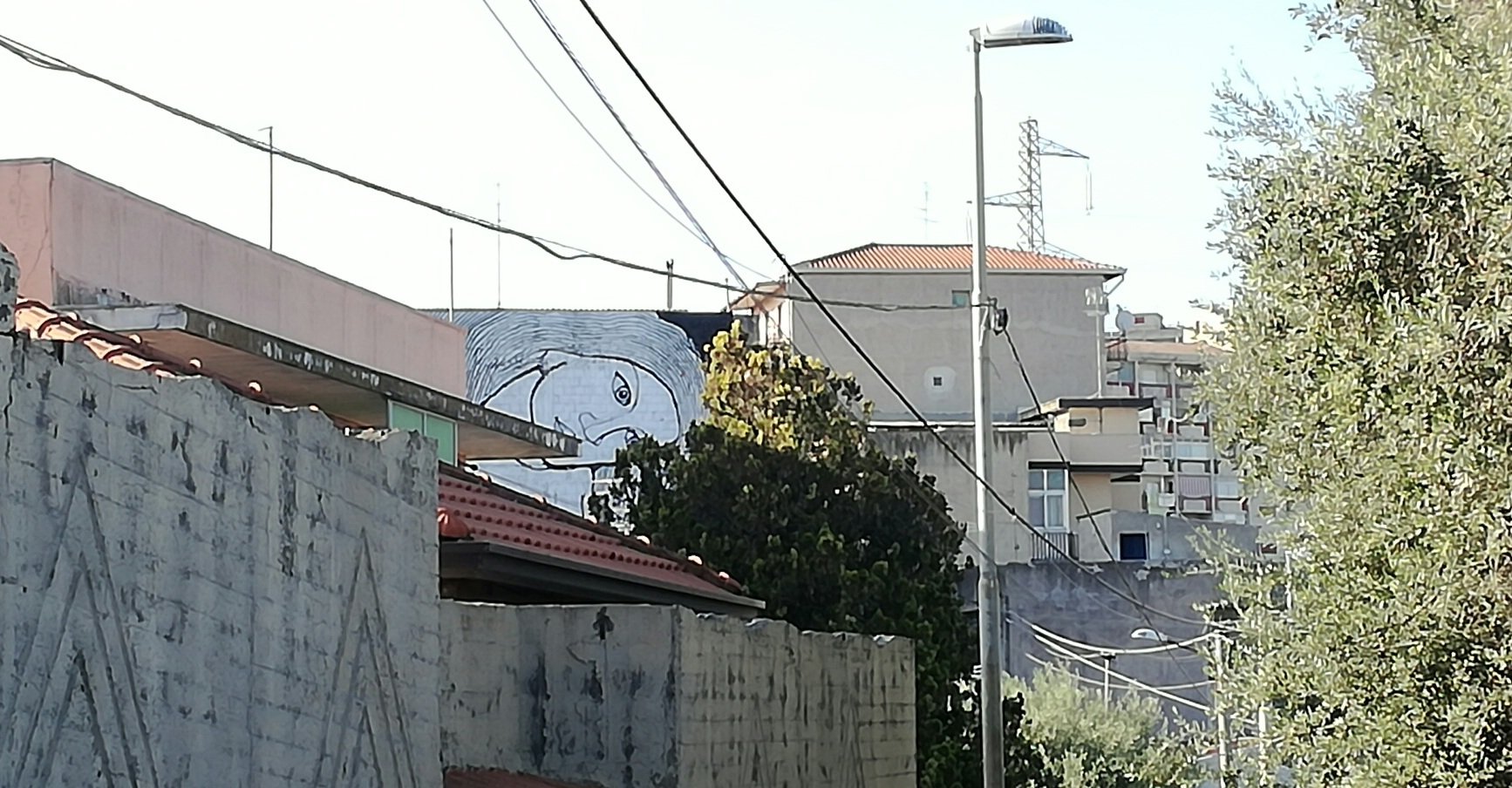 Librino, quartiere a rischio incendi tra alte erbacce da tagliare