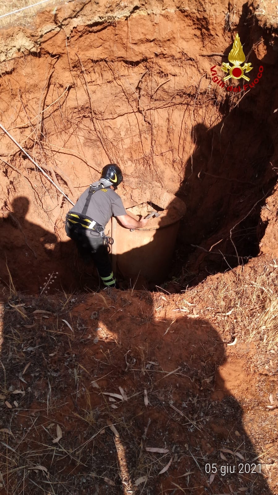 Cagnolina cade in pozzo a Caltagirone, salvata da vigili fuoco