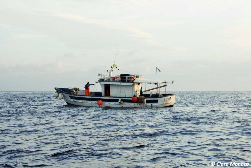 Pesca, Sicilia, pubblicato decreto fermo biologico 2021, cosa prevede Pesca, Sicilia, pubblicato decreto fermo biologico 2021, cosa prevede