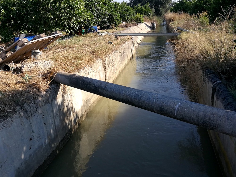 Siccità, Coldiretti Sicilia: “Basta commissariamento dei Consorzi”