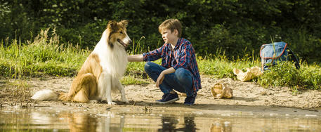 Cinema, “Lassie torna a casa” versione 2021 dal 10 giugno, il trailer