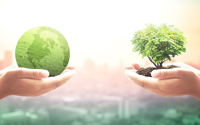 Speciale Green Economy, decolla lo schema di certificazione