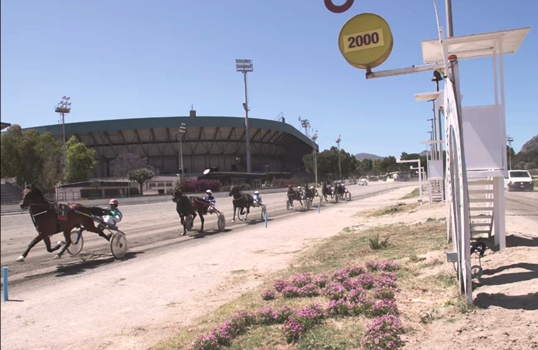 Ippodromo di Palermo, Criss Cross manca la decima