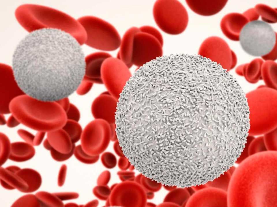 Michele Merlo morto di leucemia fulminante, ecco i sintomi