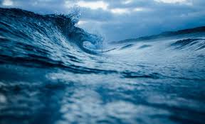 Ambiente, oggi è la giornata mondiale degli oceani