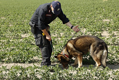 Una 55enne si perde di notte a Belmonte Mezzagno, ritrovata