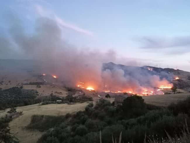 Incendi a Troina, chiesto lo stato d’emergenza