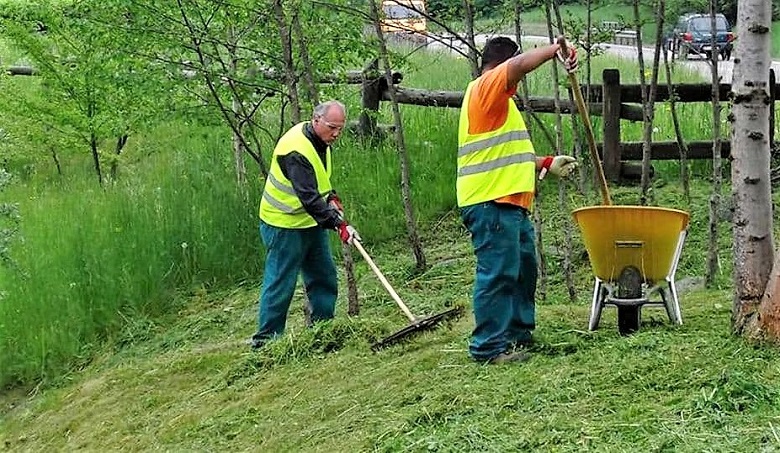 Lavoro di cittadinanza come risposta operativa