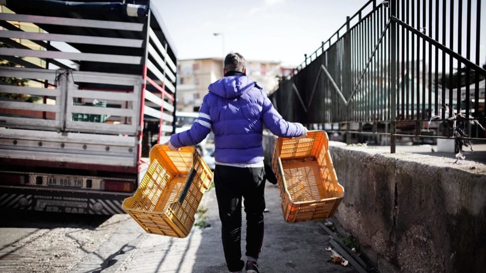 Sicilia, il 3,5% degli occupati under 35 al lavoro prima dei 16 anni