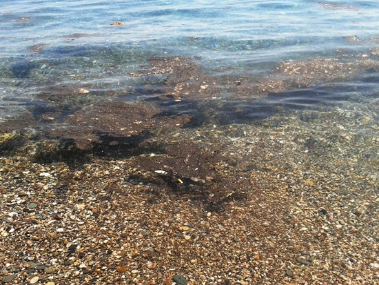 Mare inquinato a Calatabiano “Depuratore, basta palliativi”