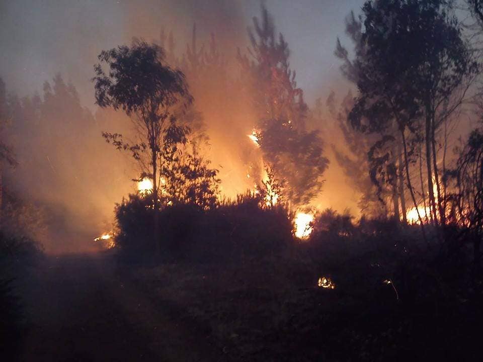 Incendi, istituzioni denunciate per mancata prevenzione