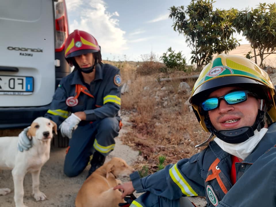 Incendi a Siracusa, due cuccioli salvati dalle fiamme