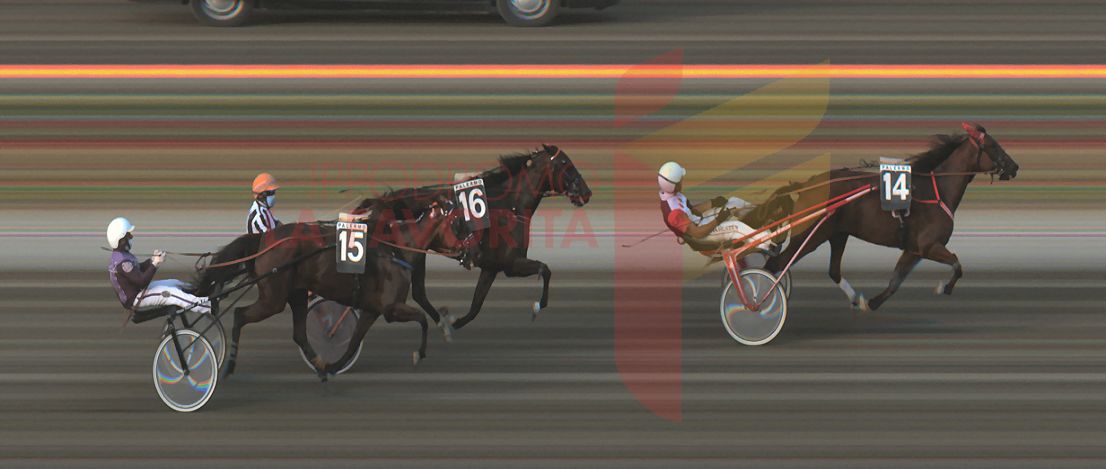 Trotto alla Favorita, Porzio show nella Tris-Quarté-Quinté